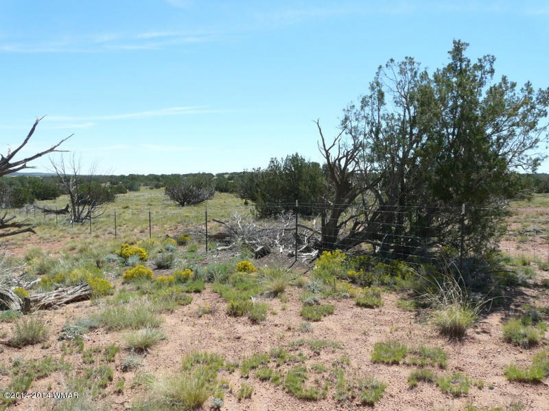 1956 Hutch Road, Unit 1 Heber, AZ 85928 - Photo 4 of 7
