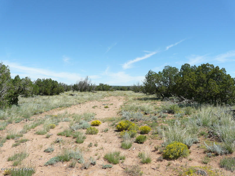 1956 Hutch Road, Unit 1 Heber, AZ 85928 - Photo 5 of 7
