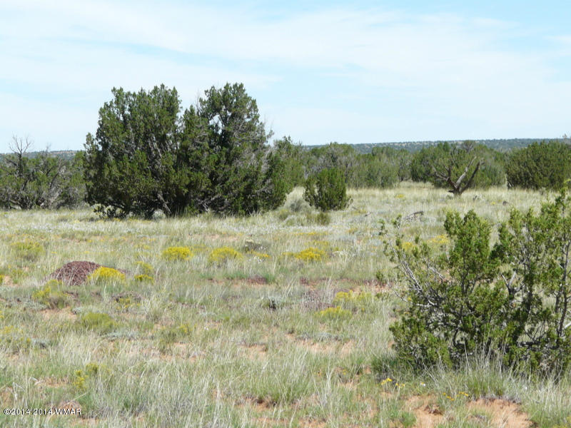 1956 Hutch Road, Unit 1 Heber, AZ 85928 - Photo 6 of 7