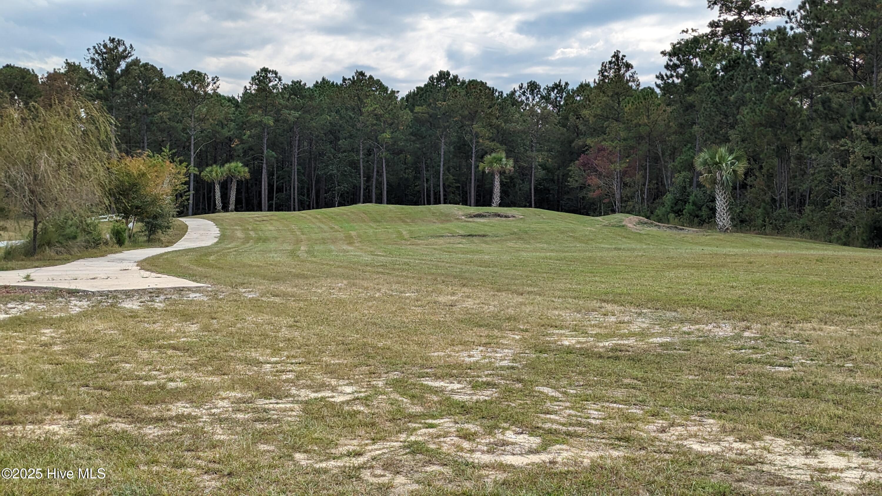 167 Gus Horne Road Holly Ridge, NC 28445 - Photo 11 of 13 Pitch and Putt