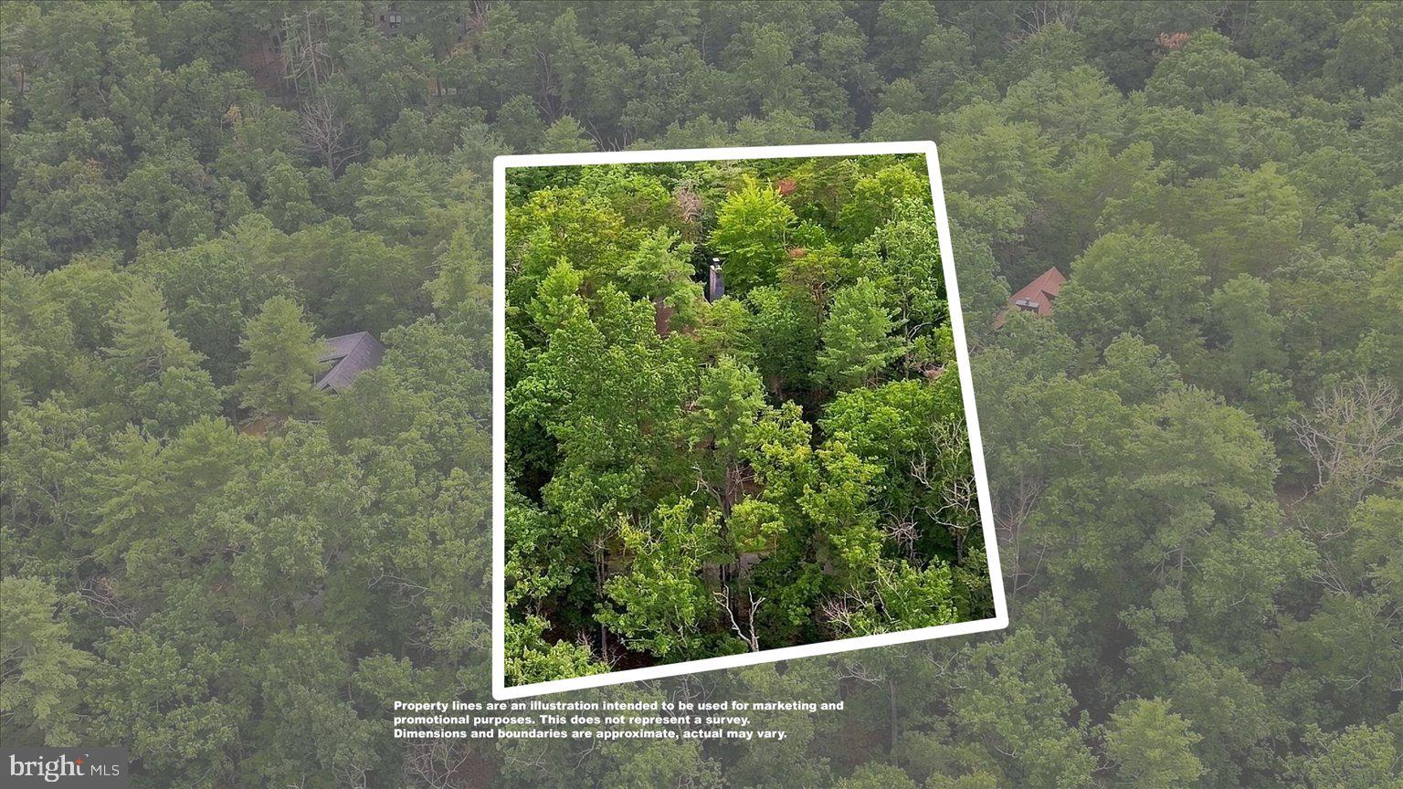 863 Lee Road Basye, VA 22810 - Photo 47 of 61