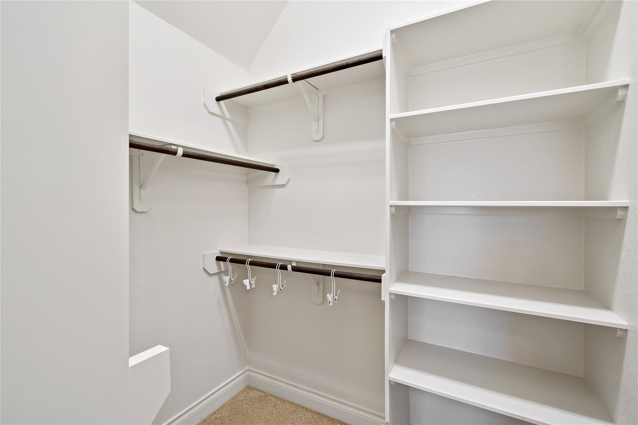 3539 Whitman Drive Rosharon, TX 77583 - Photo 21 of 24