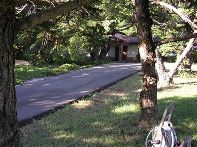 6600 Warehill Road Santa Rosa, CA 95404 - Photo 3 of 6 a view of a yard with plants and a large tree