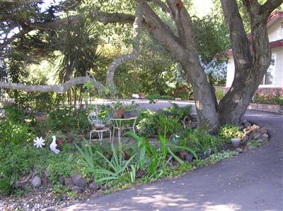 6600 Warehill Road Santa Rosa, CA 95404 - Photo 4 of 6 a backyard of a house with lots of green space