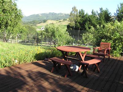 6600 Warehill Road Santa Rosa, CA 95404 - Photo 5 of 6 a view of a patio with furniture and backyard