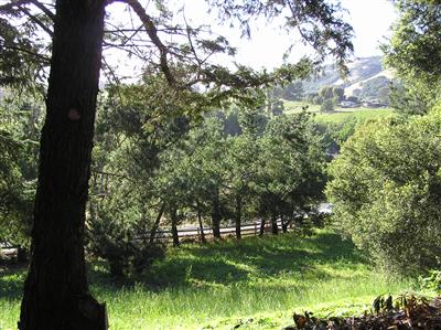 6600 Warehill Road Santa Rosa, CA 95404 - Photo 6 of 6 a view of backyard with green space