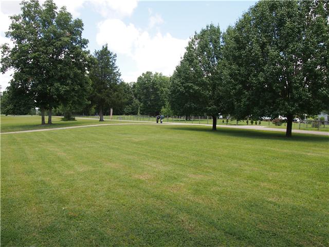2848 Bolton Road Columbia, TN 38401 - Photo 3 of 20 a view of field with trees in the background