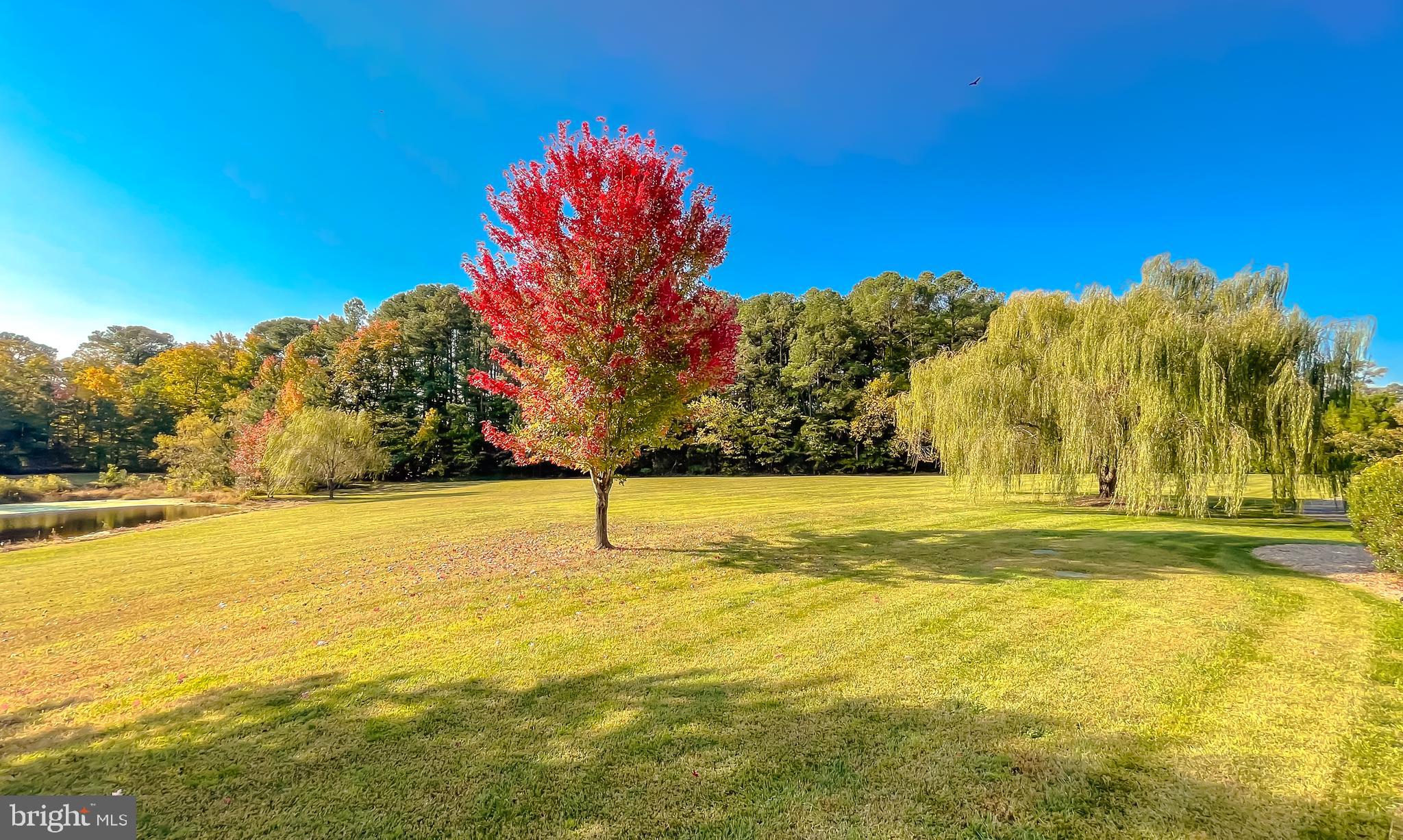 17718 Three Notch Road Dameron, MD 20628 - Photo 69 of 77