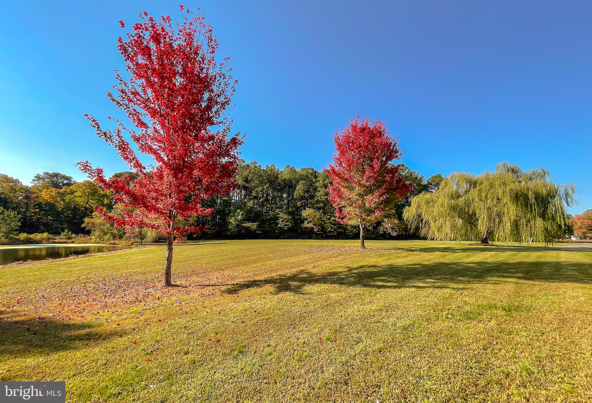 17718 Three Notch Road Dameron, MD 20628 - Photo 73 of 77