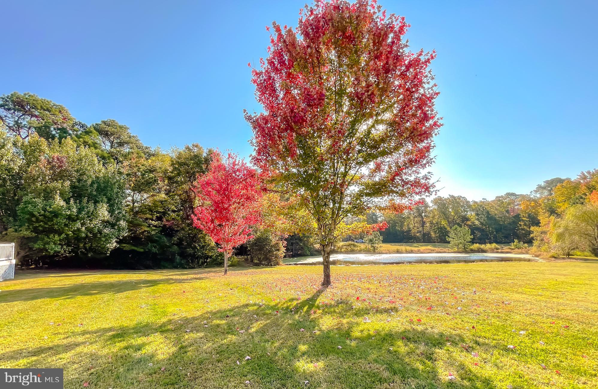 17718 Three Notch Road Dameron, MD 20628 - Photo 76 of 77