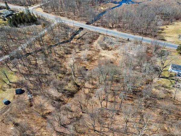 a view of a yard with trees