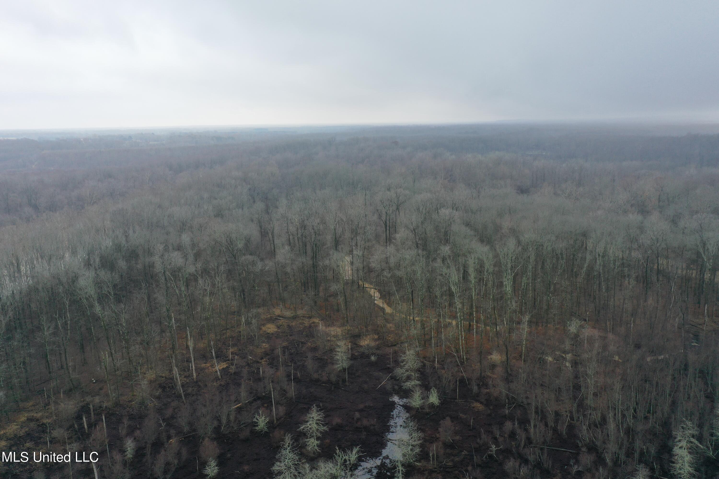 0 Holly Springs Road Hernando, MS 38632 - Photo 11 of 21 DJI_0931