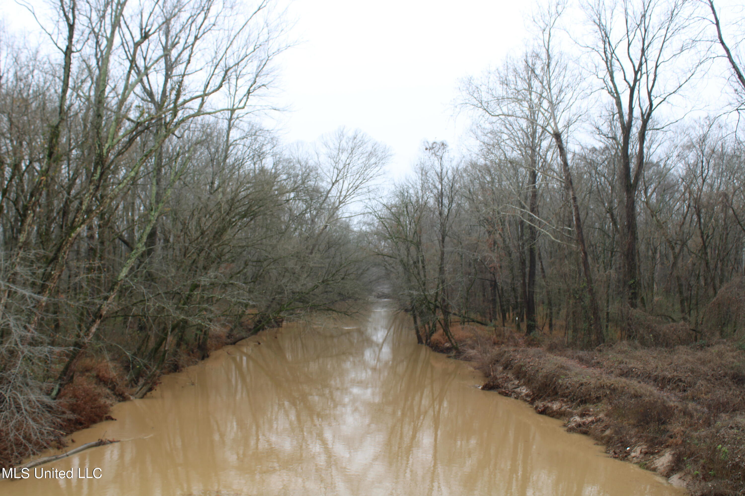 0 Holly Springs Road Hernando, MS 38632 - Photo 20 of 21 IMG_0547