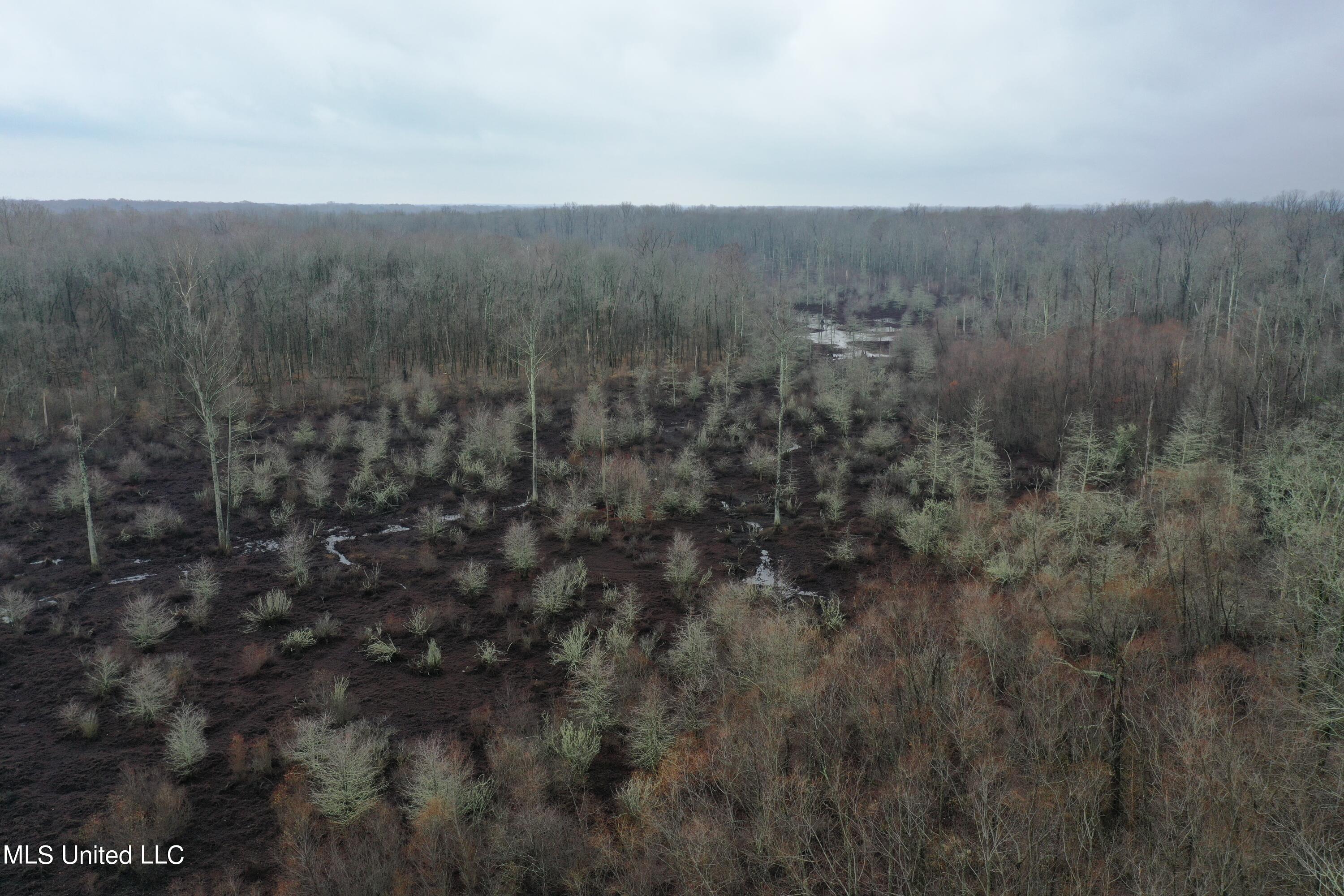 0 Holly Springs Road Hernando, MS 38632 - Photo 2 of 21 DJI_0922