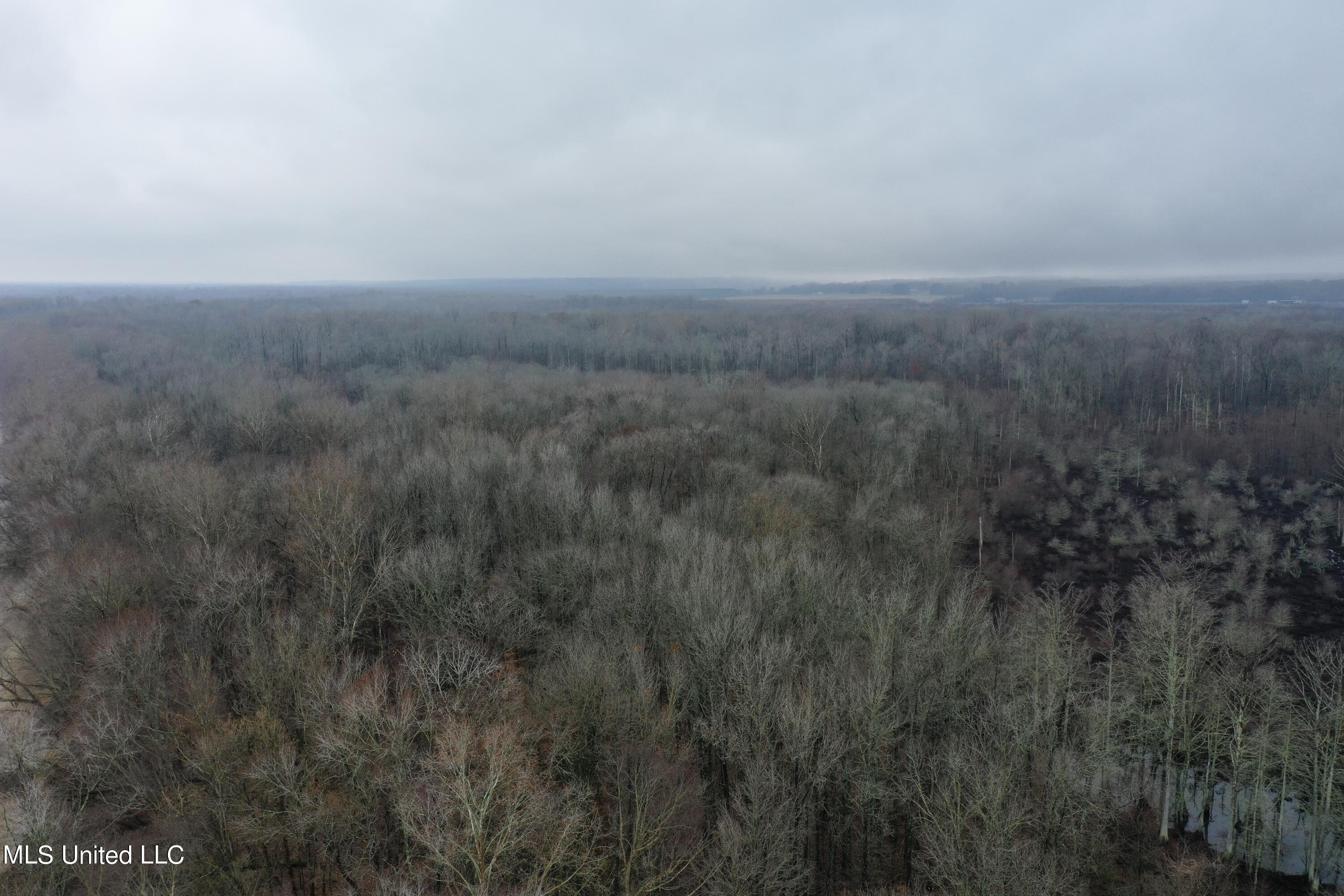0 Holly Springs Road Hernando, MS 38632 - Photo 3 of 21 DJI_0923