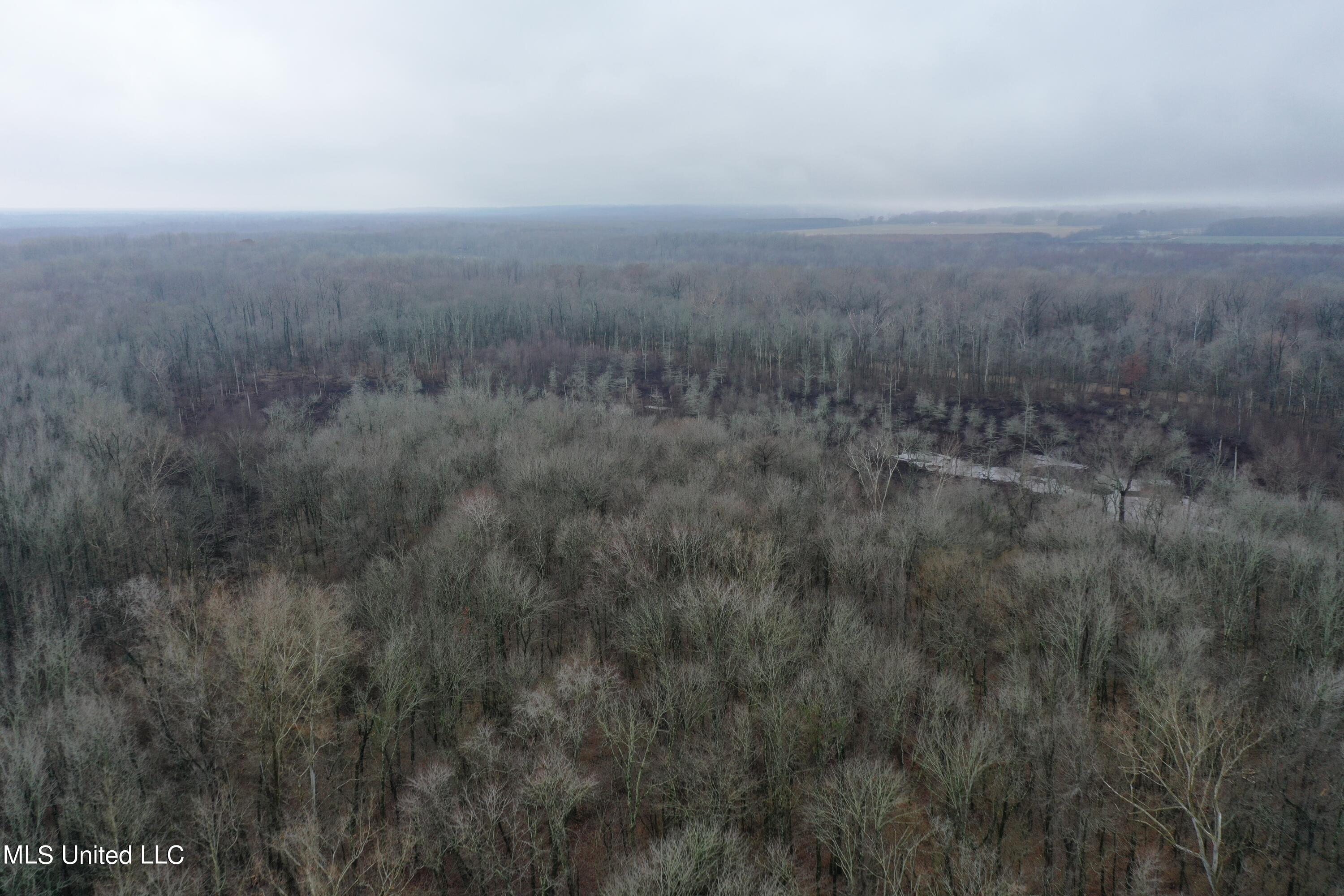 0 Holly Springs Road Hernando, MS 38632 - Photo 5 of 21 DJI_0925