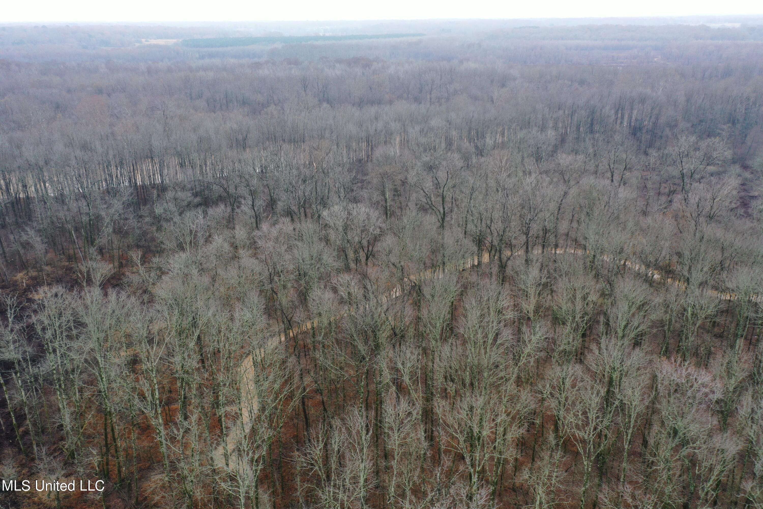 0 Holly Springs Road Hernando, MS 38632 - Photo 8 of 21 DJI_0928