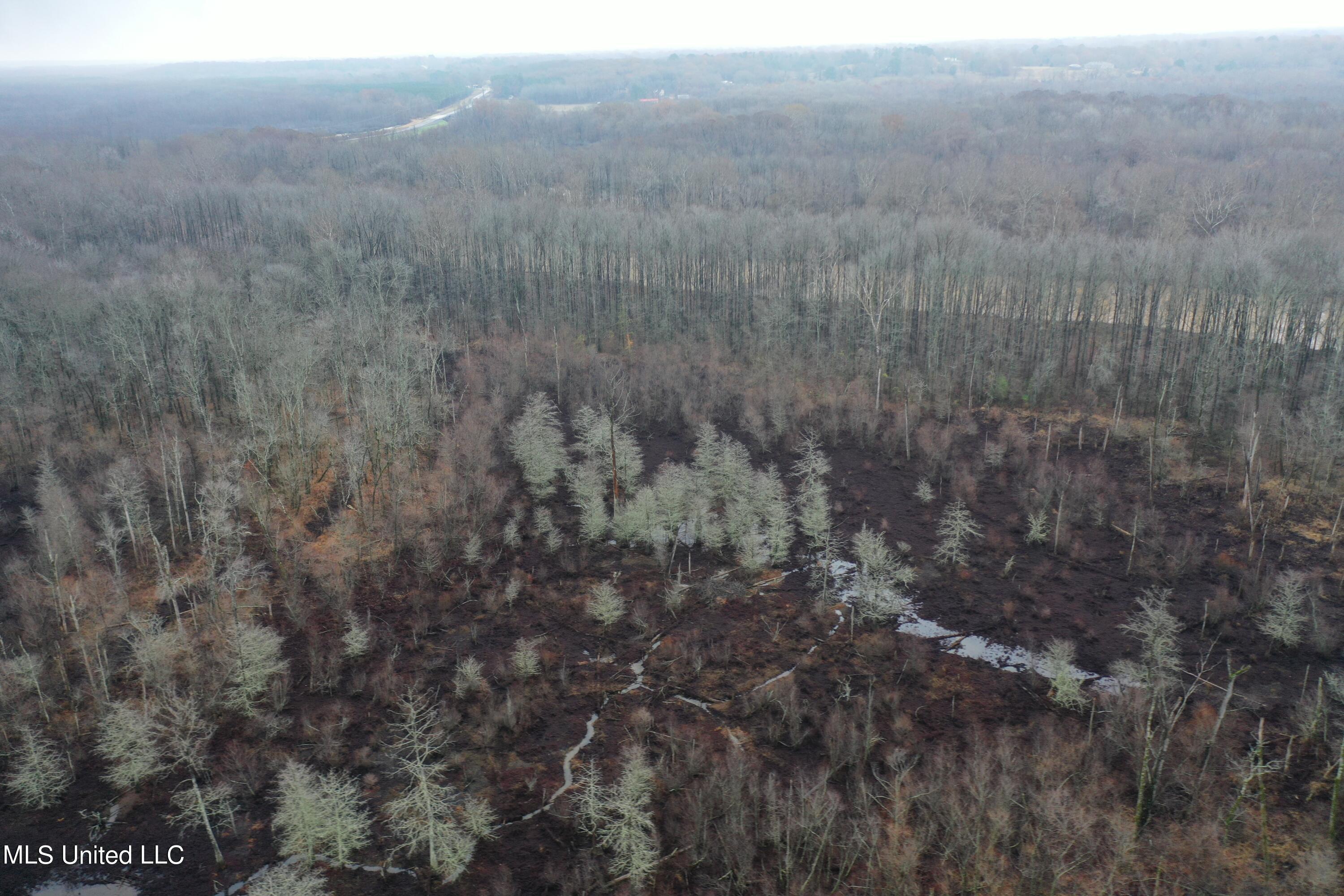 0 Holly Springs Road Hernando, MS 38632 - Photo 9 of 21 DJI_0929