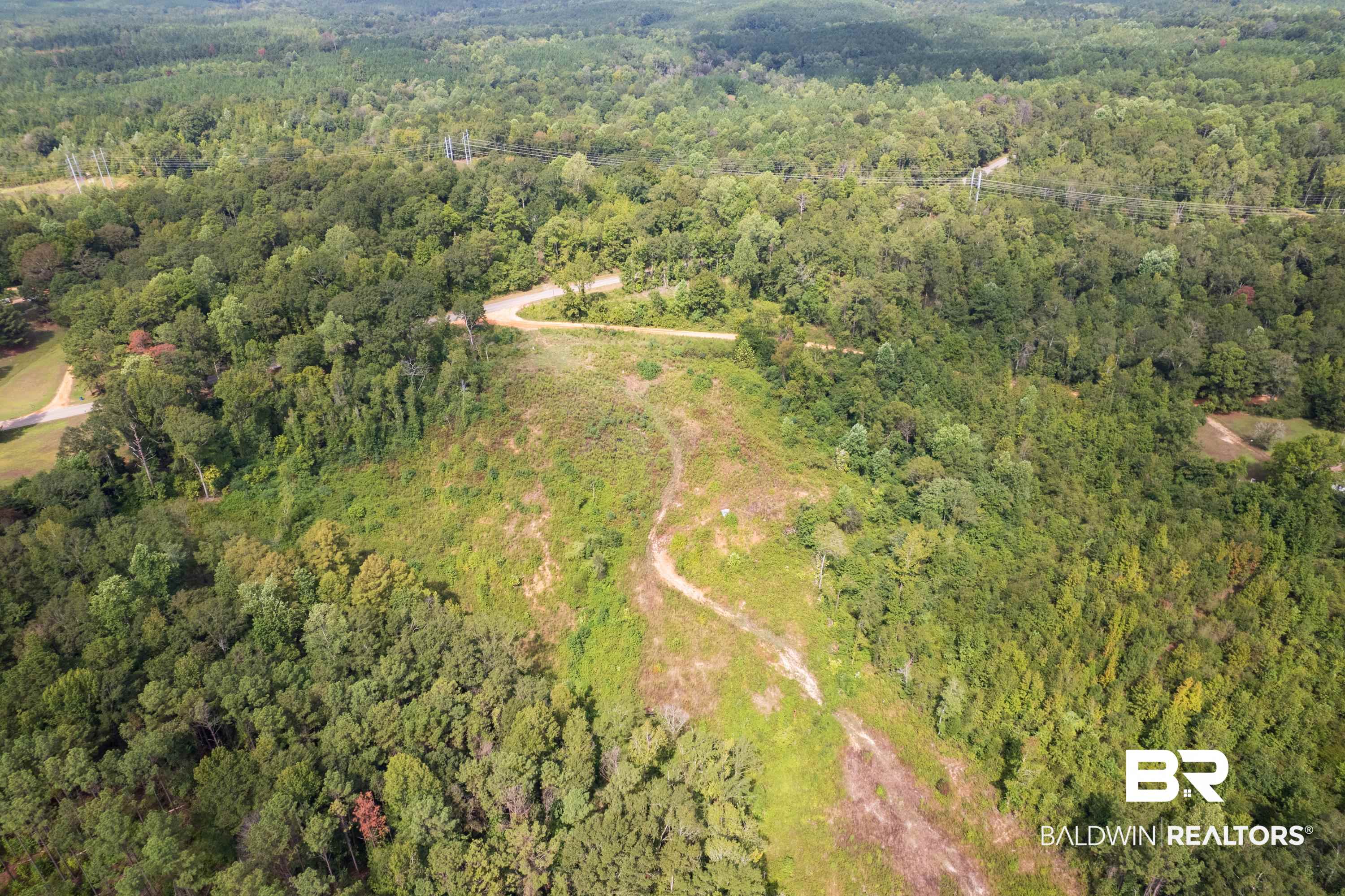 0 Chilton Road Grand Bay, AL 36541 - Photo 7 of 13