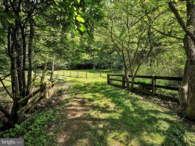 a view of a green field with lots of bushes