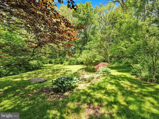 a view of a lush green space