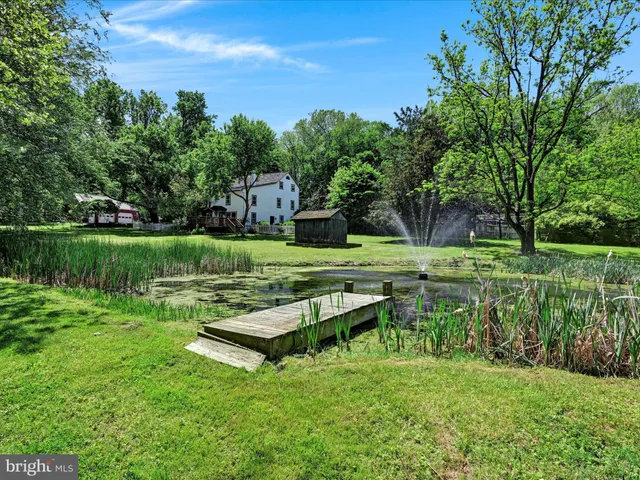a view of park with trees