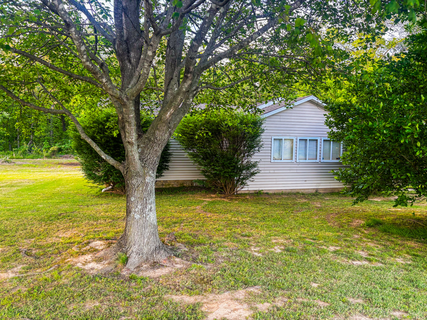 4920 Mt Moriah Road Galatia, IL 62935 - Photo 6 of 33 a view of a house with a yard