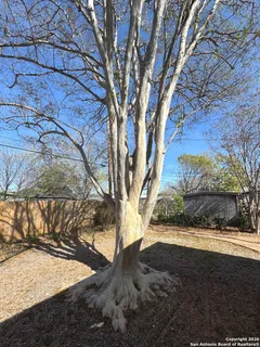 $224,000 | 423 Timberlane Drive, San Antonio, TX 78218