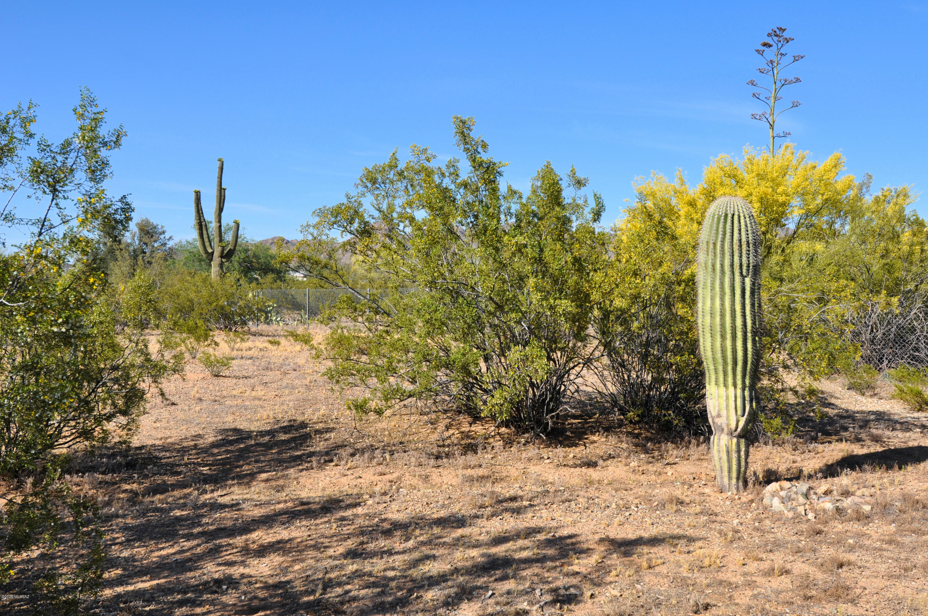 11940 West Ranchito Verde Tucson, AZ 85743 - Photo 8 of 46 Gallery Image 8