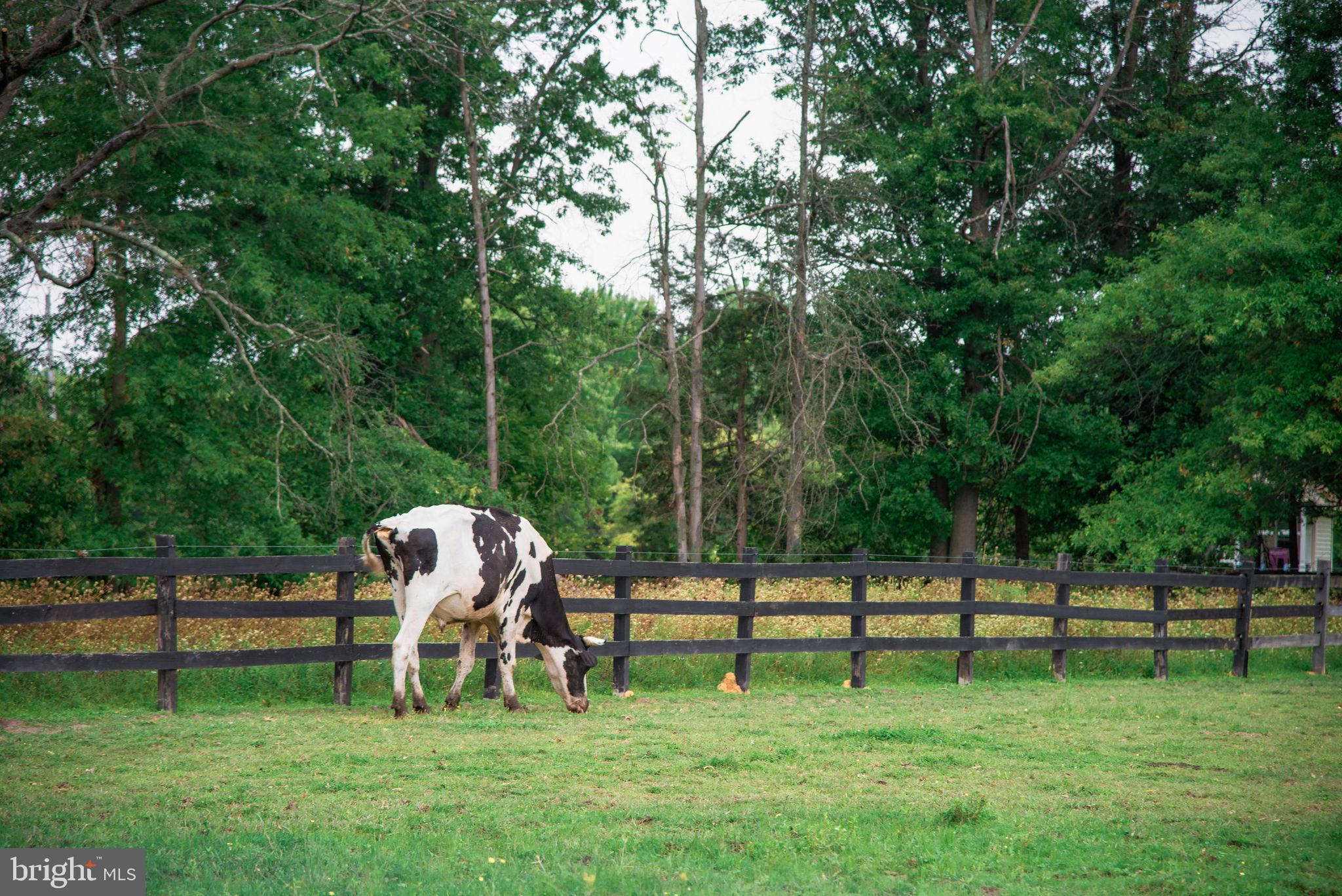 4273 Durham Road Kintnersville, PA 18930 - Photo 4 of 85 Gallery Image 4
