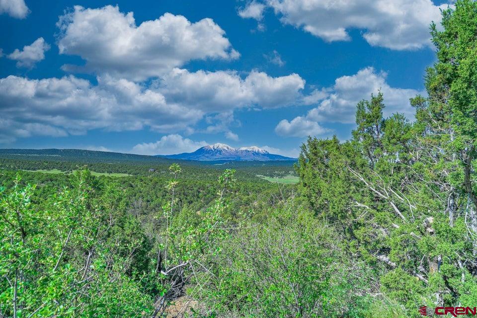 324 Chaps Court Walsenburg, CO 81089 - Photo 31 of 45
