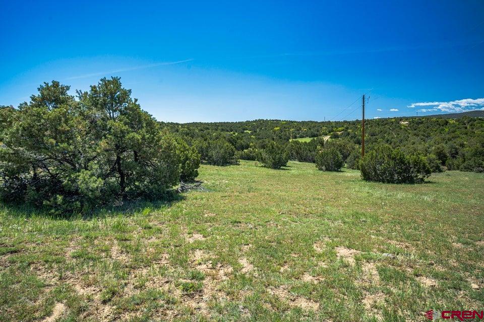 324 Chaps Court Walsenburg, CO 81089 - Photo 33 of 45
