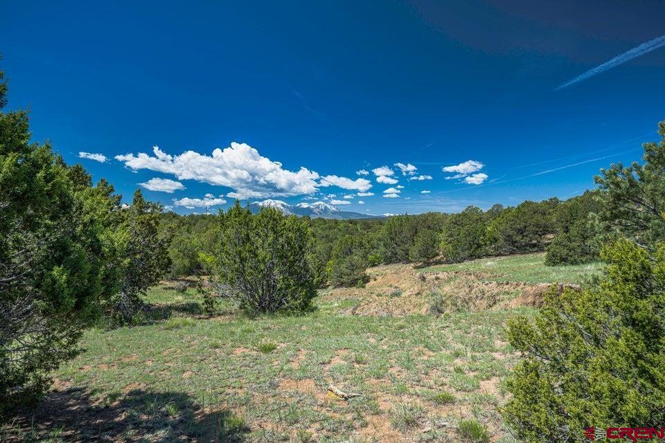 324 Chaps Court Walsenburg, CO 81089 - Photo 34 of 45