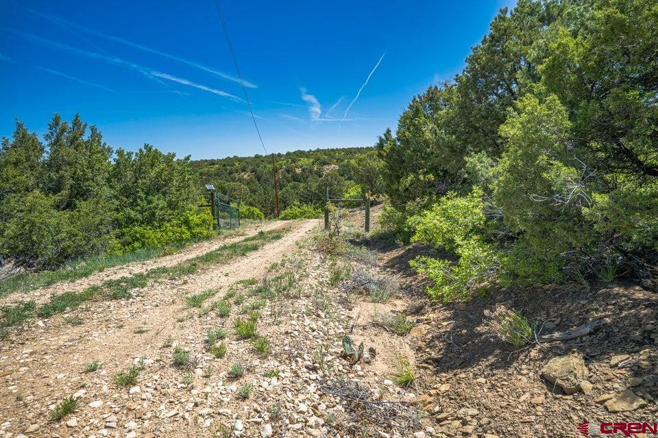 324 Chaps Court Walsenburg, CO 81089 - Photo 36 of 45