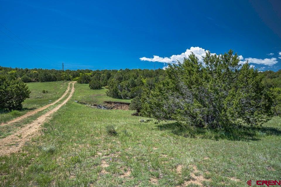 324 Chaps Court Walsenburg, CO 81089 - Photo 37 of 45