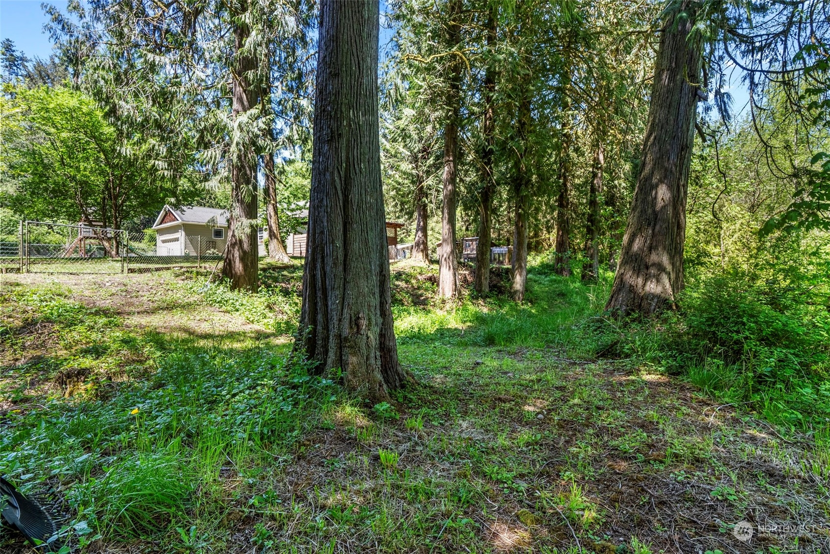 455 Drews Prairie Road Toledo, WA 98591 - Photo 30 of 31 a view of a trees in a yard