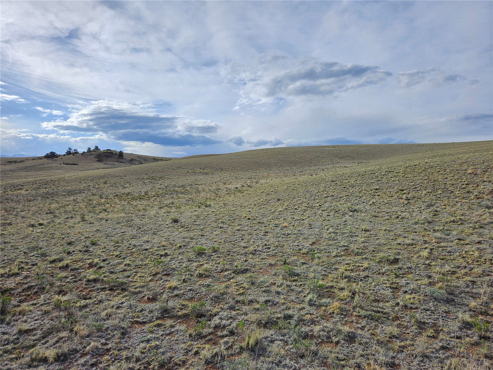 Pcs#24139 Antero Road Hartsel, CO 80449 - Photo 36 of 41