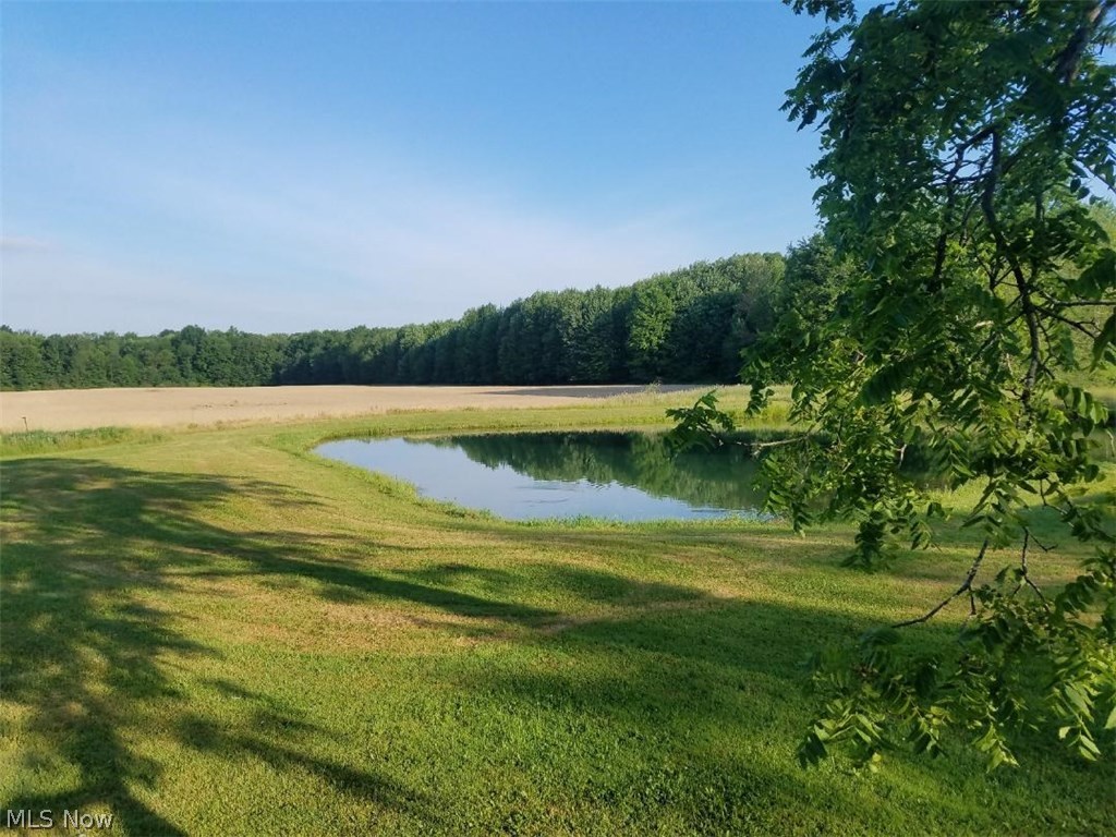 8973 Manes Road Orwell, OH 44076 - Photo 11 of 30