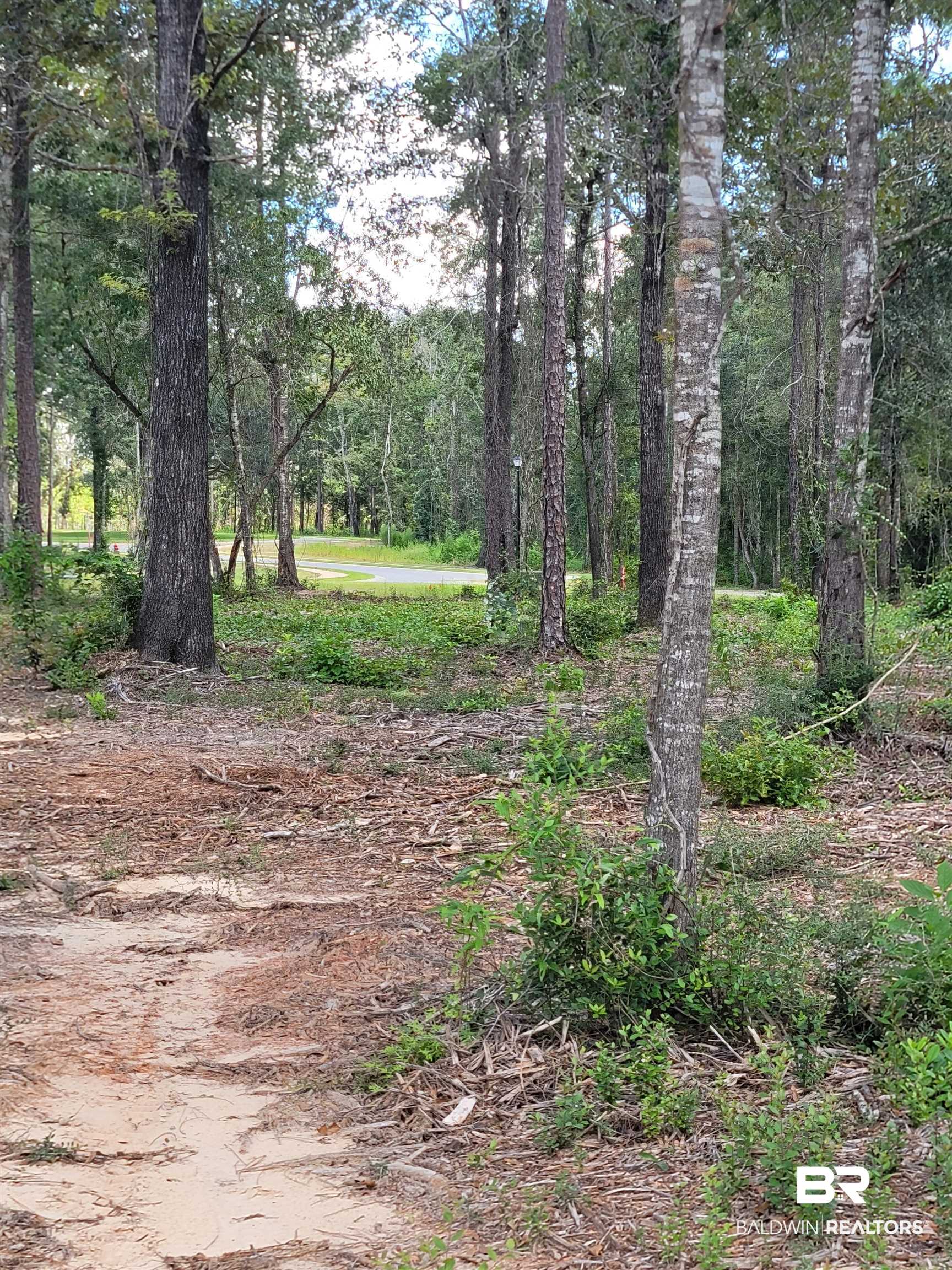 Lot 10 Wildflower Trail Daphne, AL 36527 - Photo 3 of 7