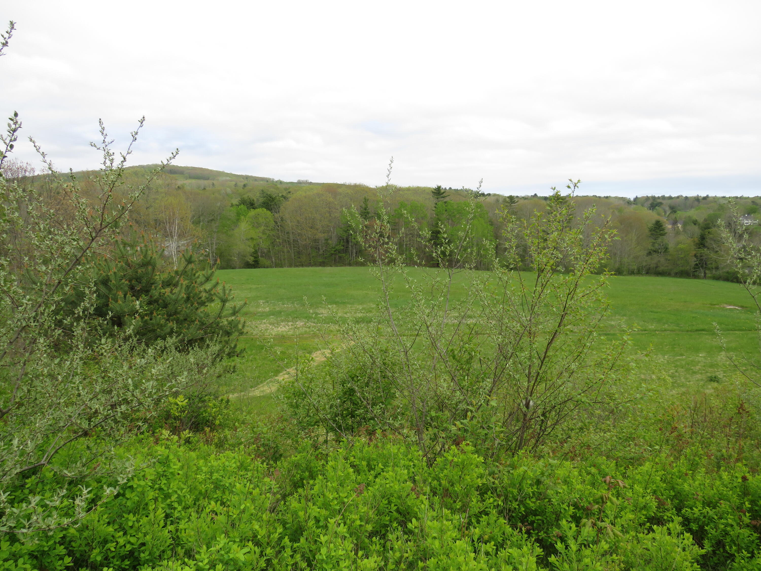 0 Town House Road Union, ME 04862 - Photo 7 of 10 IMG_2832