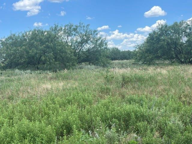3417 State Highway Graham, TX 76450 - Photo 16 of 17