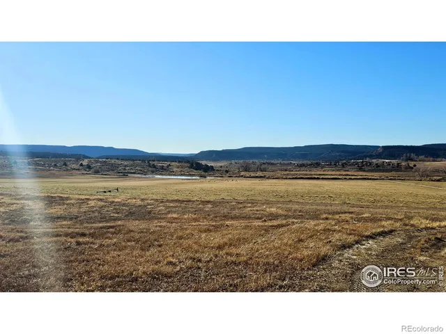 a black and white photo of a beach