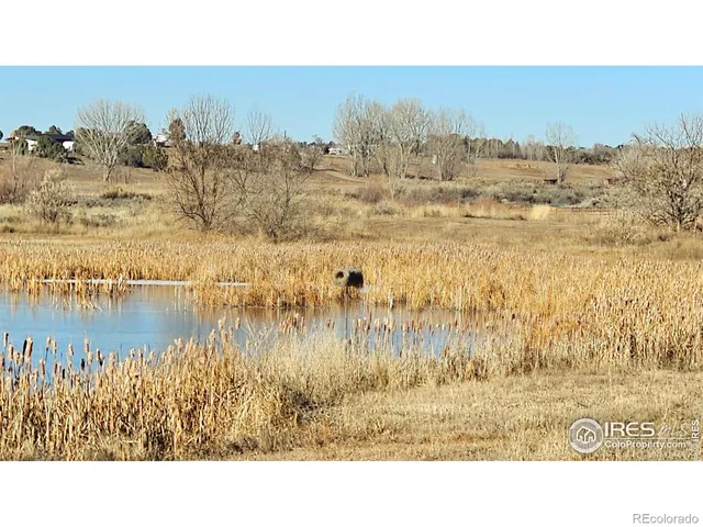 a black and white photo of a living room