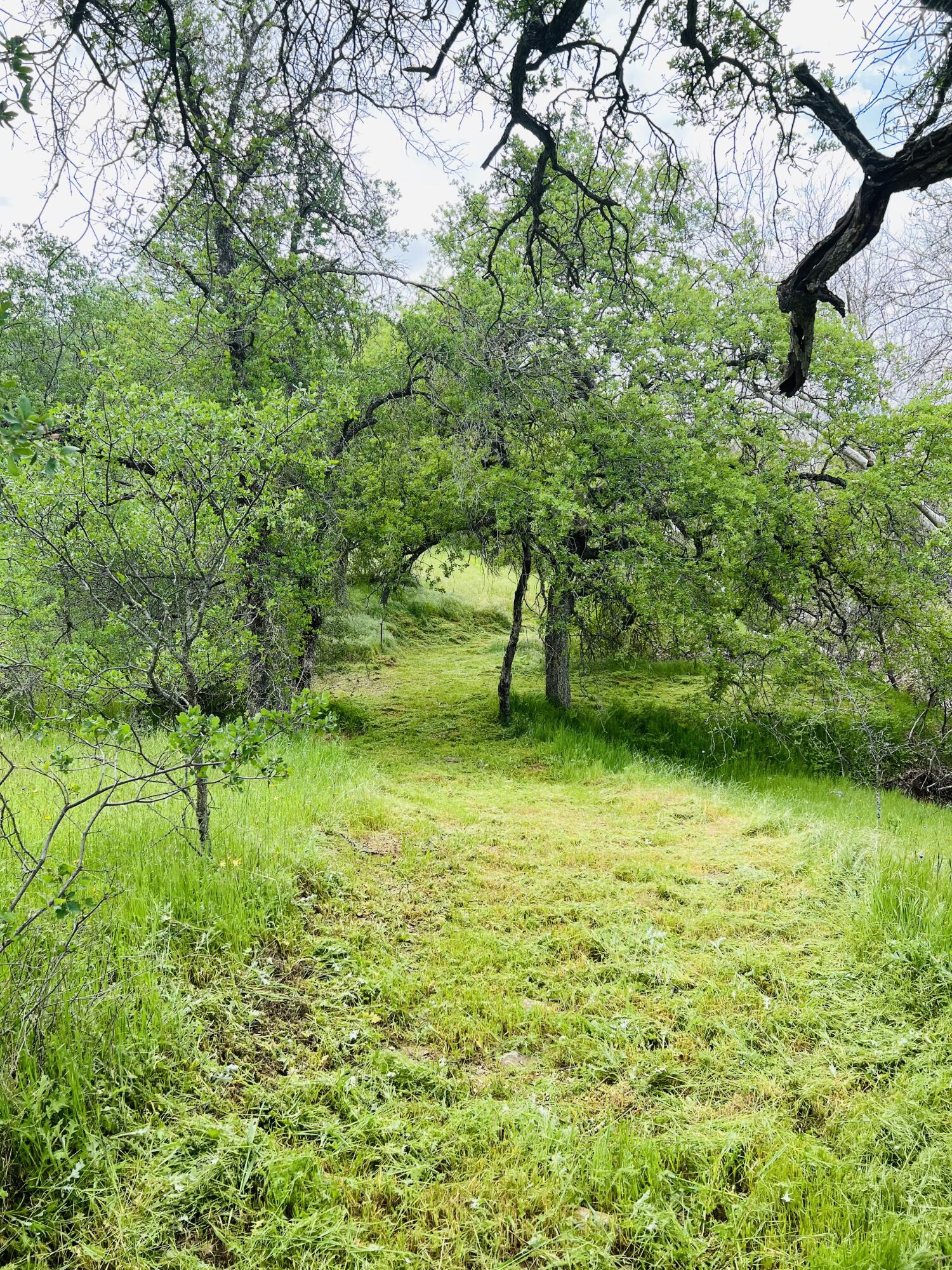0 North Kaweah River Drive Three Rivers, CA 93271 - Photo 52 of 78 F5877761-2D25-4A3F-9328-43A85B2748C3_1_2