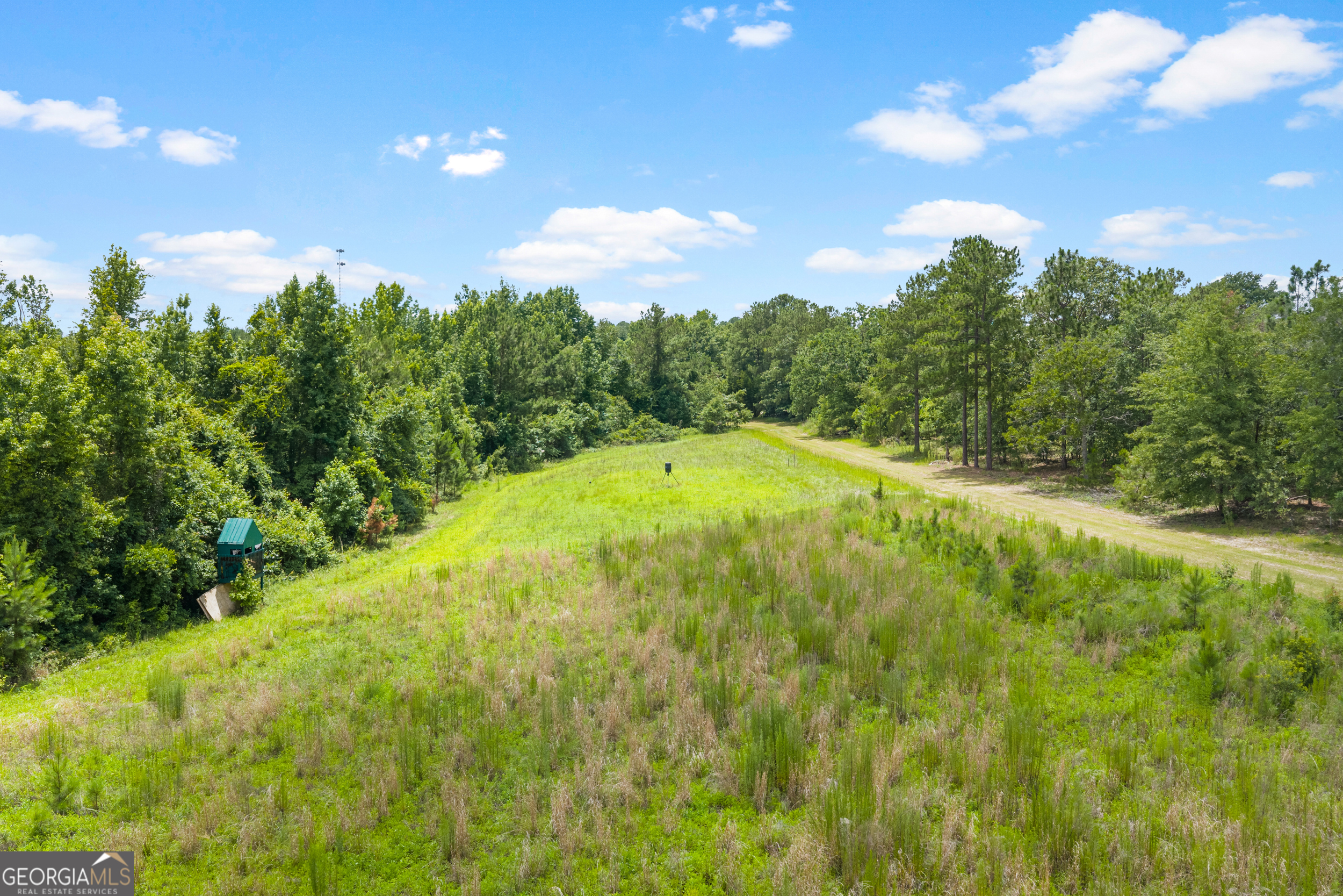 854 Bell Road Millen, GA 30442 - Photo 19 of 68