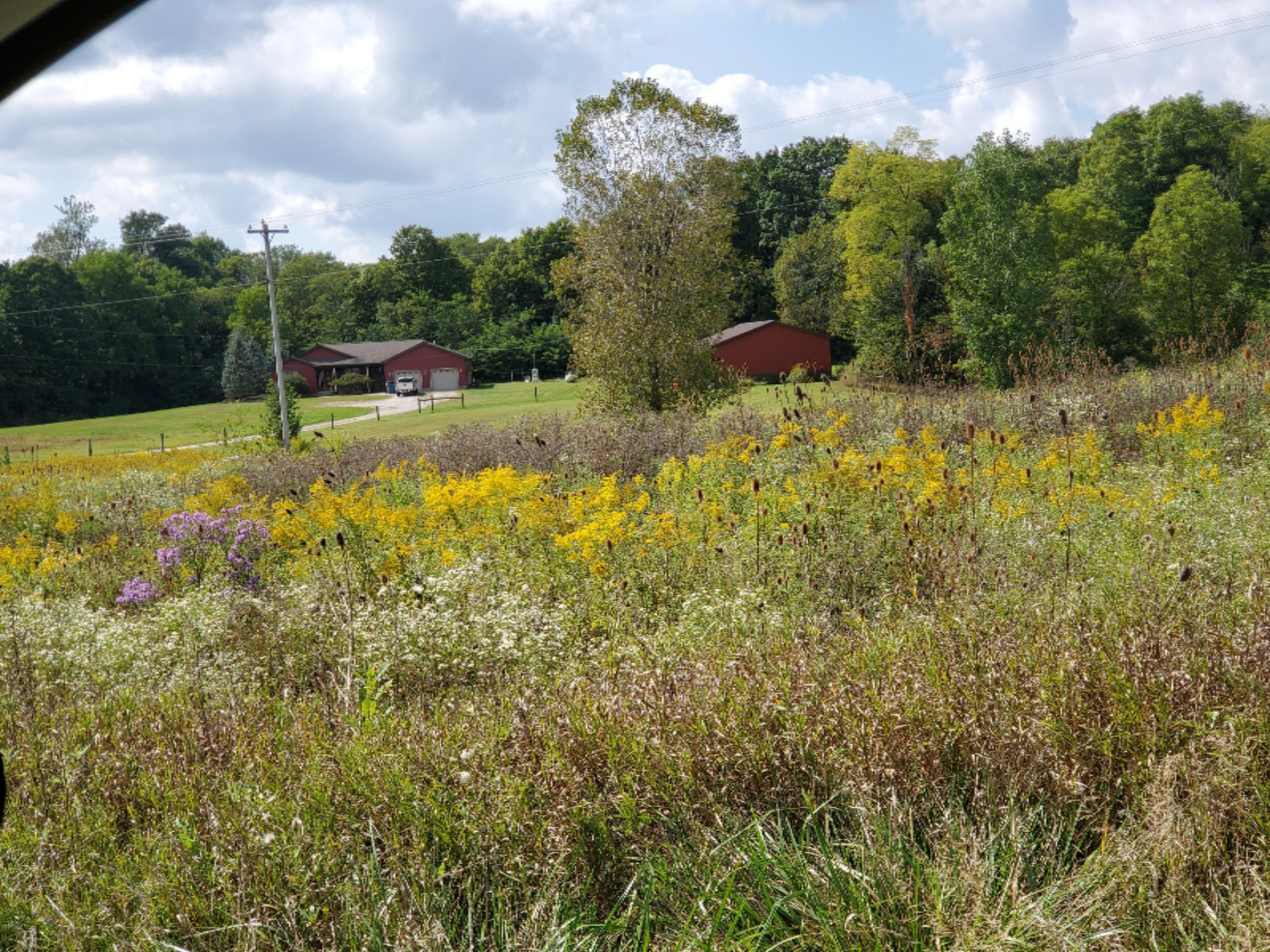 9594 South Edon Road Camden, MI 49232 - Photo 3 of 36 20190916_141632