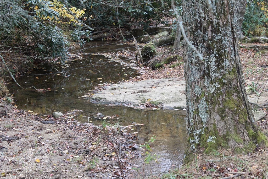 Tbd Terry's Mill Road, Unit 121A61 Laurel Fork, VA 24352 - Photo 32 of 71 Gallery Image 32