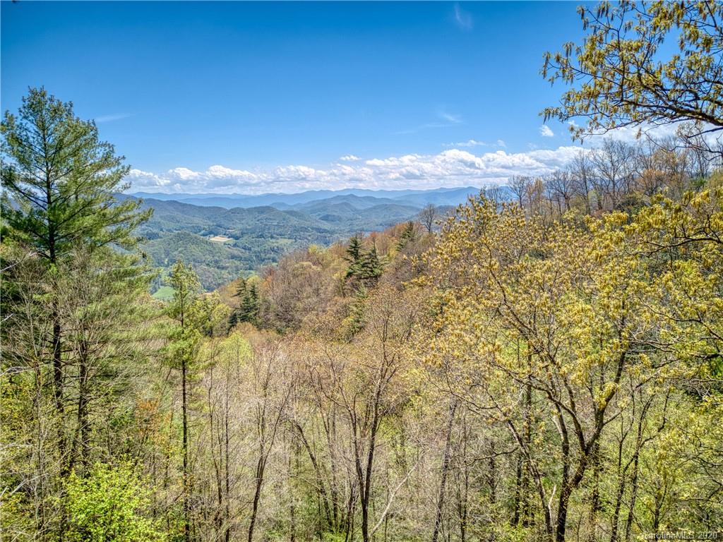 1896 Hurricane Ridge Trace Clyde, NC 28721 - Photo 2 of 27