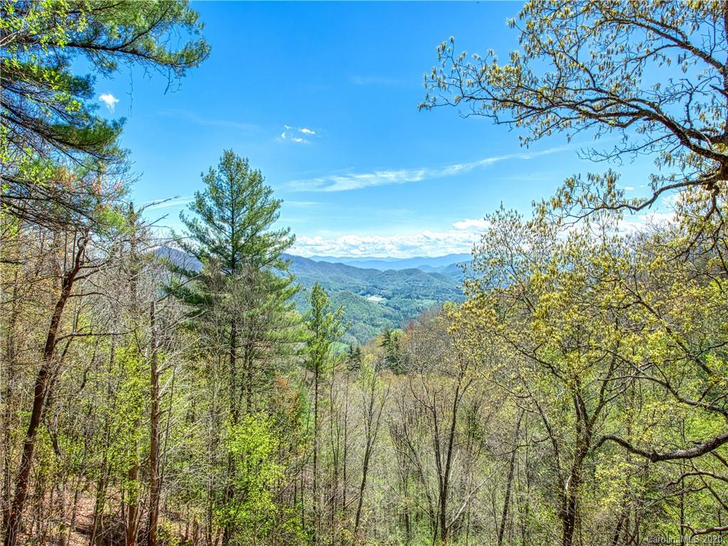 1896 Hurricane Ridge Trace Clyde, NC 28721 - Photo 27 of 27