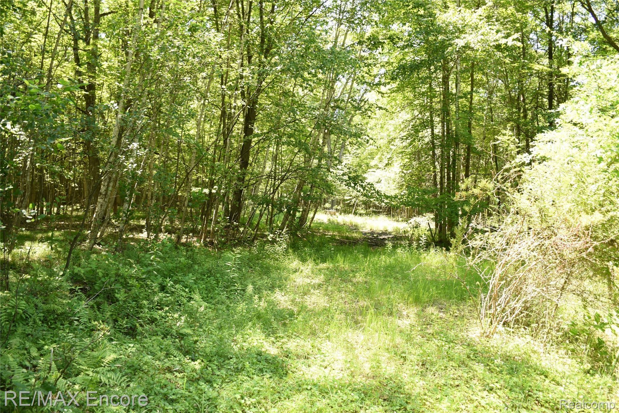 8170 South Merrill Road St. Charles, MI 48655 - Photo 46 of 63 DSC_2949.JPG